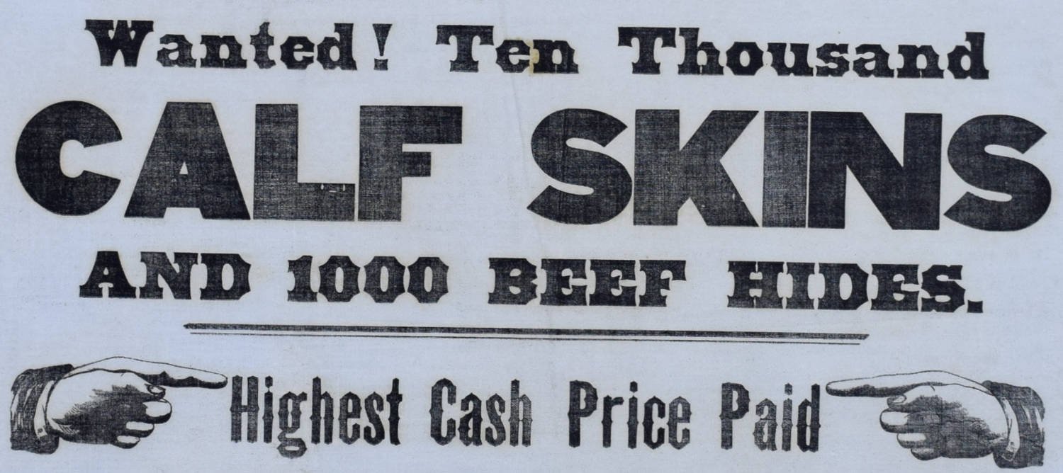 3. Wanted. Ten Thousand Calf Skins.jpg
