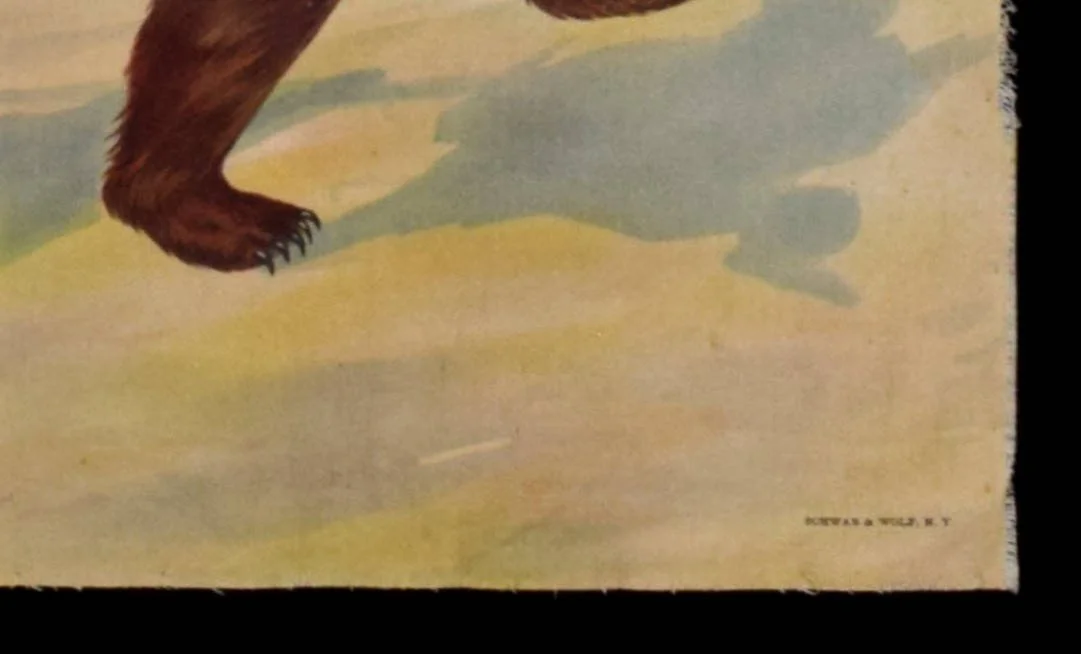 6. Teddy Roosevelt Bandanna.jpg