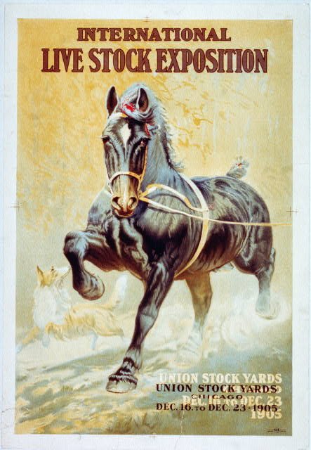 8. International Live Stock Exposition Circa 1905.jpg