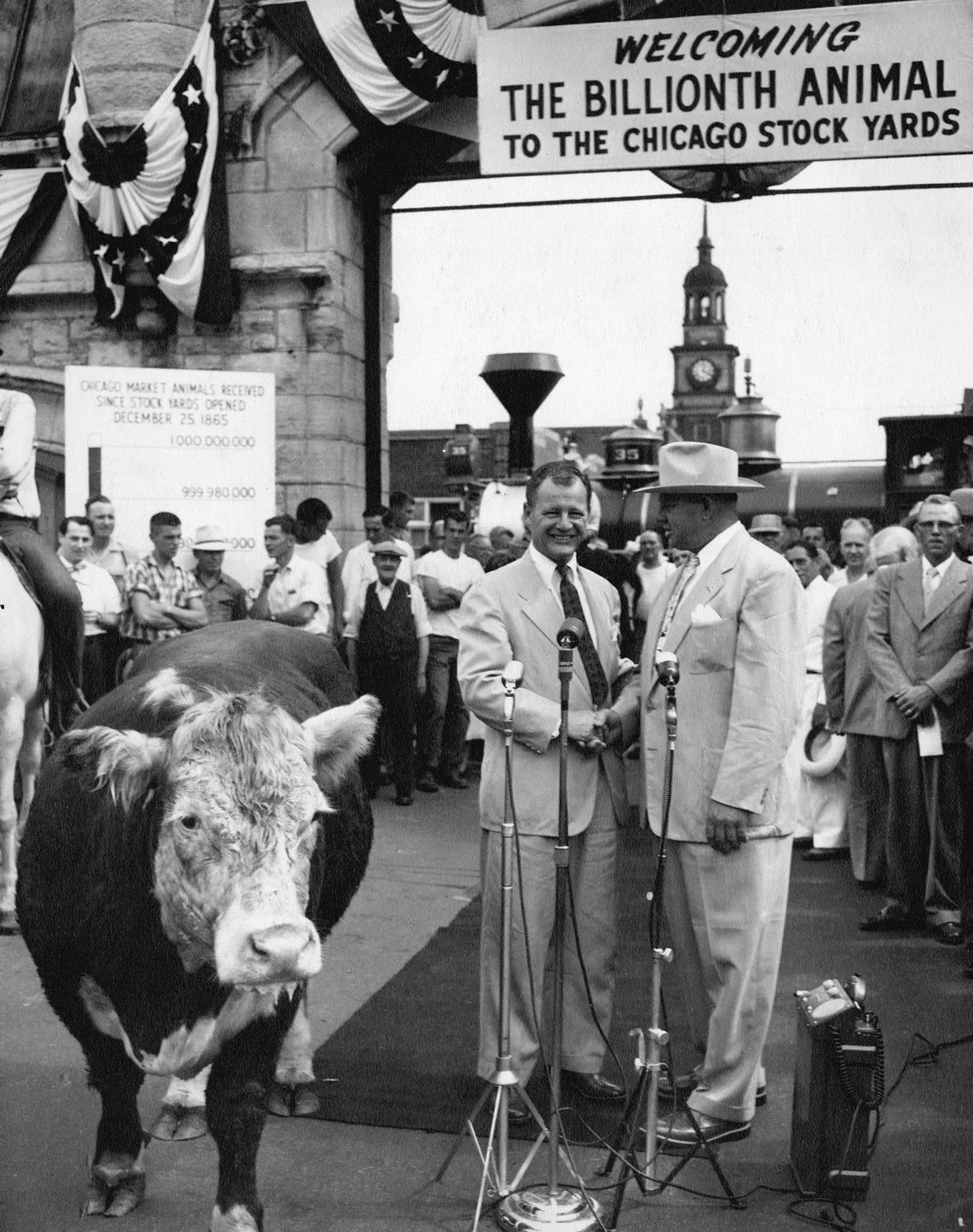 11. Billionth Animal to the chicago Stock Yards.jpg