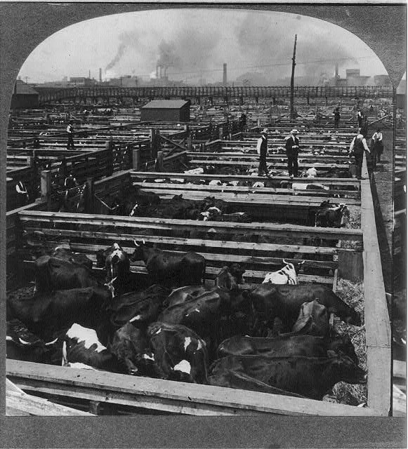 Union Stock Yards