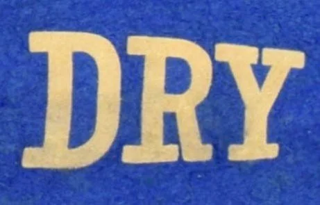 5. Antique Nebraska Dry 1916 Pennant.jpg