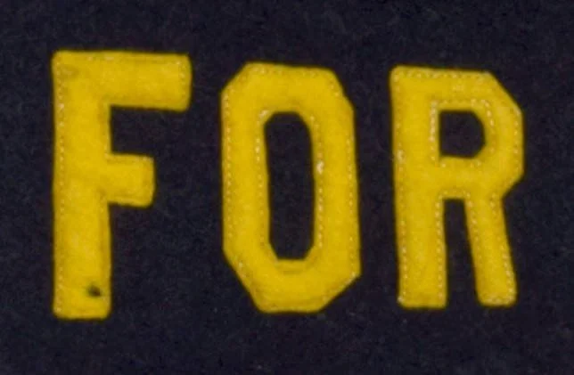 5. Antique Votes for Women Pennant.jpg