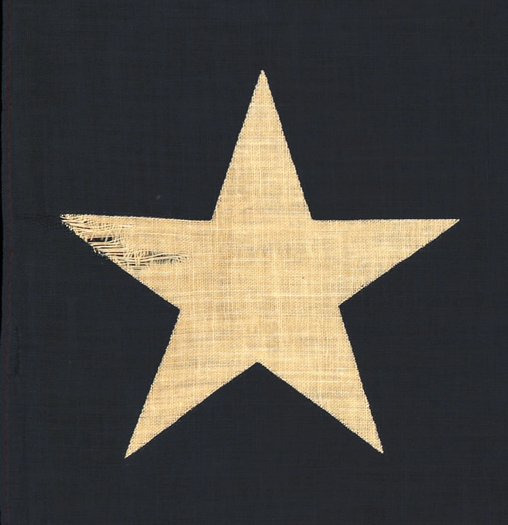 Antique Texas Parade Flag-5.jpg