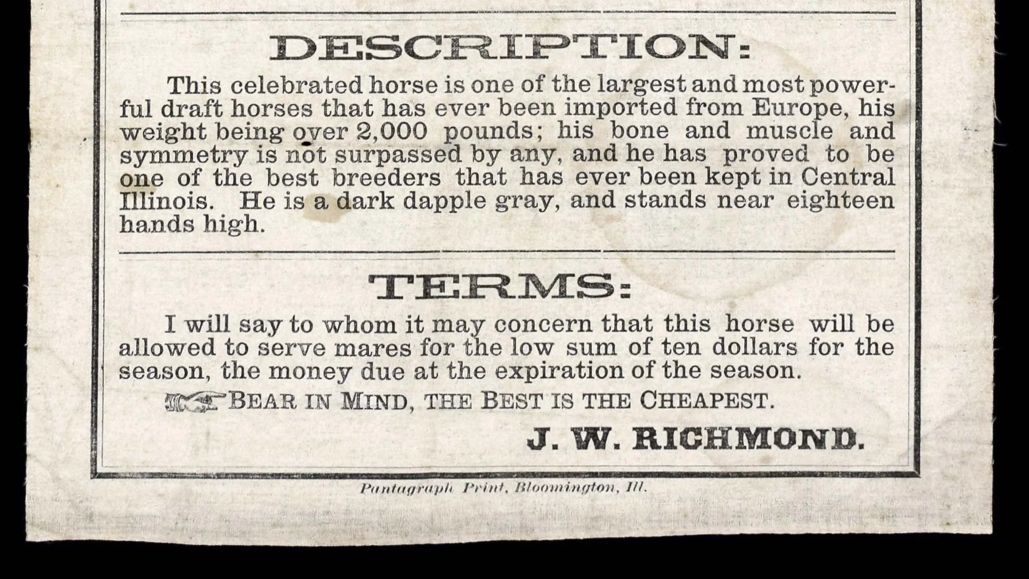 Antique King William Broadside-4.jpg