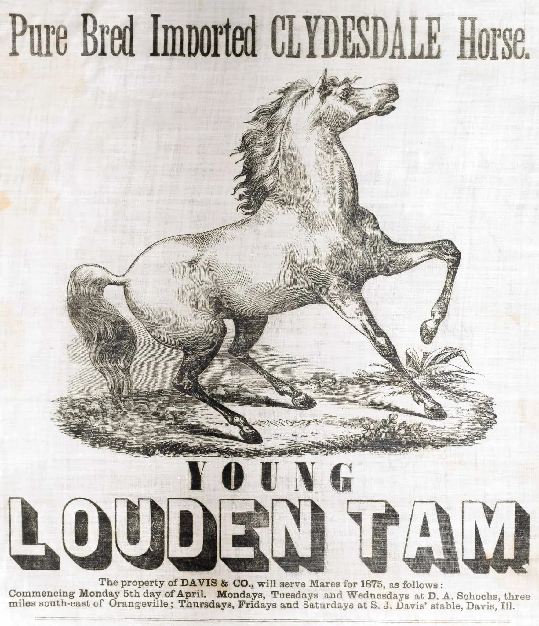 Young Louden Tam Broadside-3.jpg