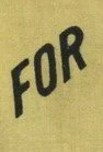 4. Antique Votes for Women Pennant.jpg