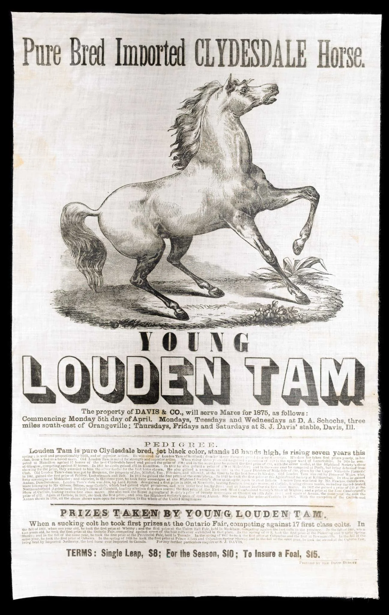 Young Louden Tam Glazed Cotton Broadside | Illinois Draft Horse Advertising | Circa 1875