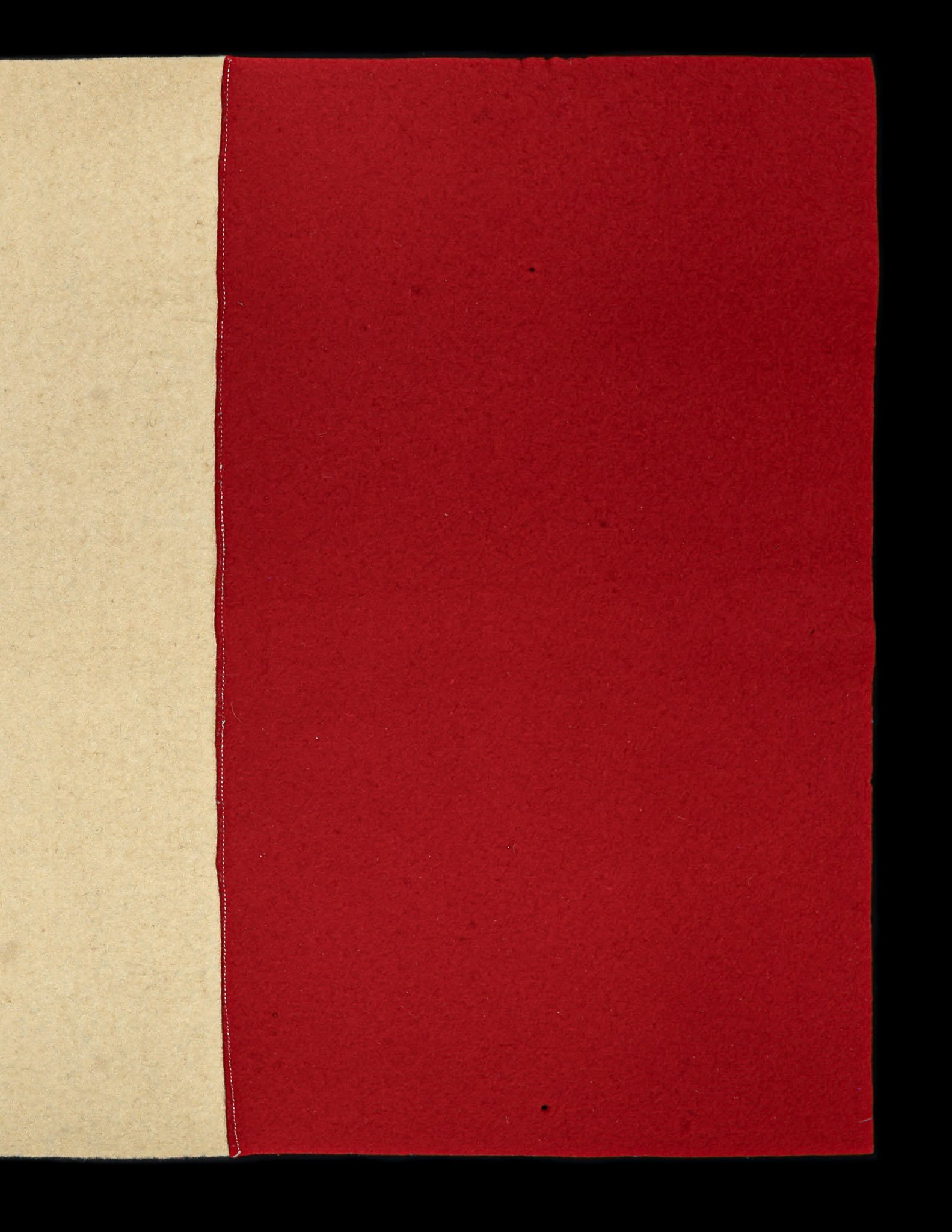 Antique French Flag-5.jpg