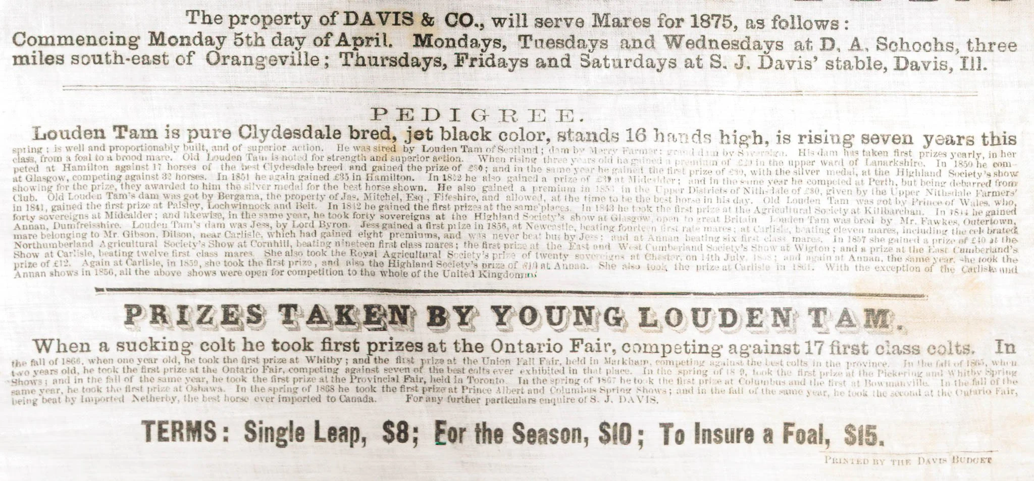 Young Louden Tam Broadside-5.jpg