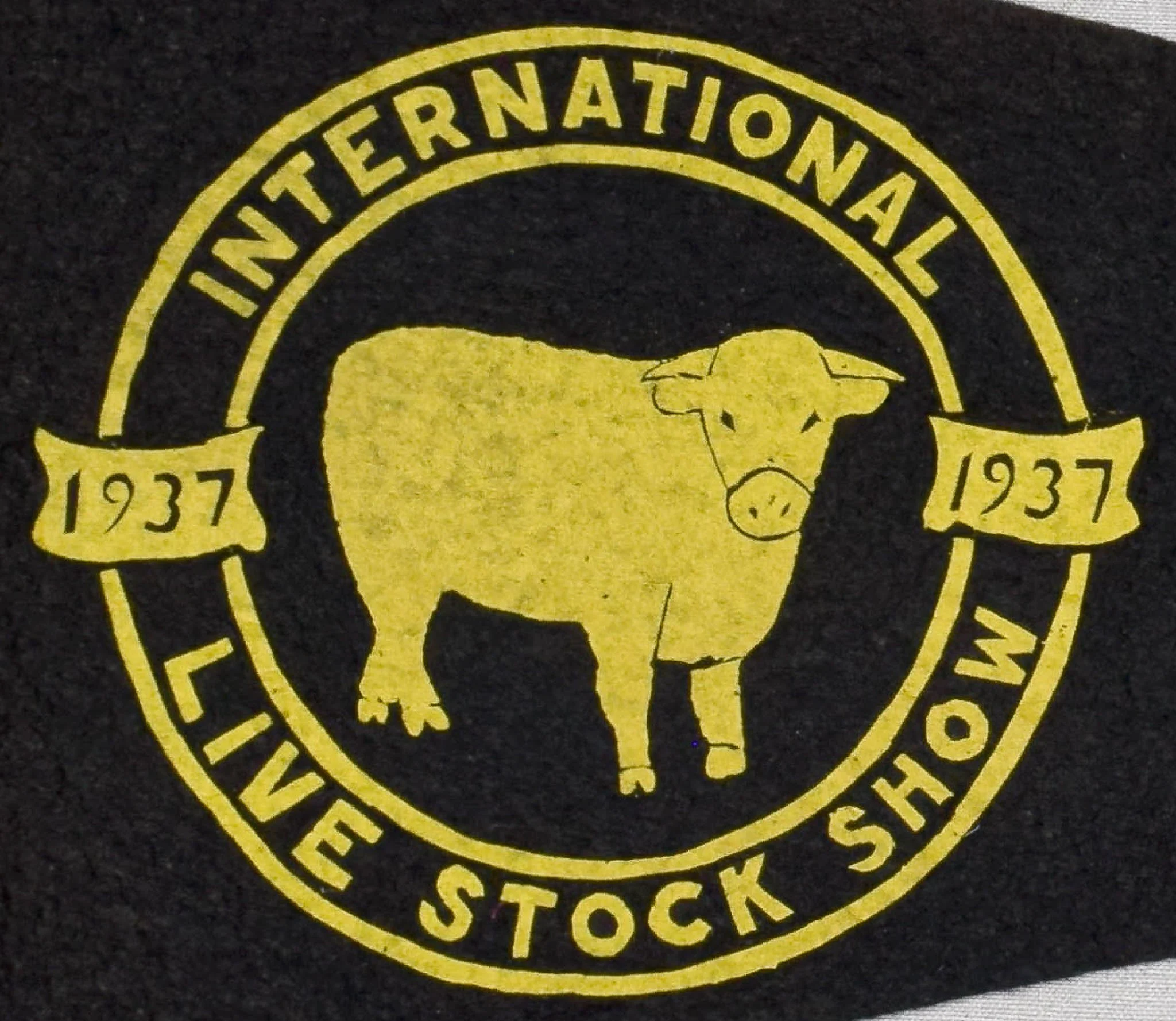 Antique Chicago International Live Stock Show-5.jpg