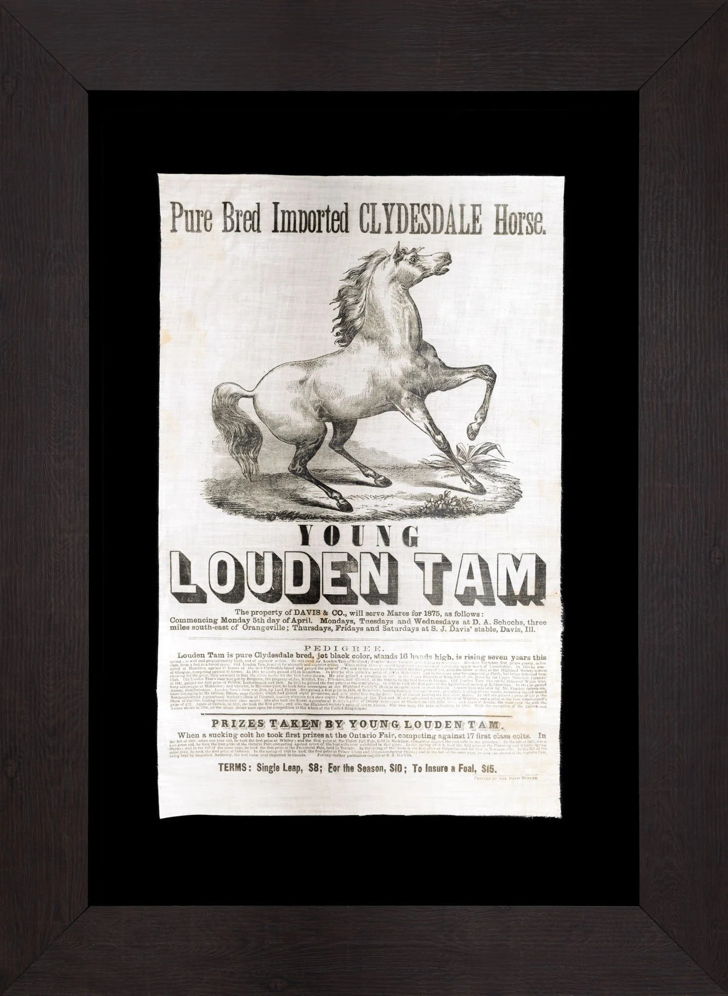Young Louden Tam Glazed Cotton Broadside | Illinois Draft Horse Advertising | Circa 1875