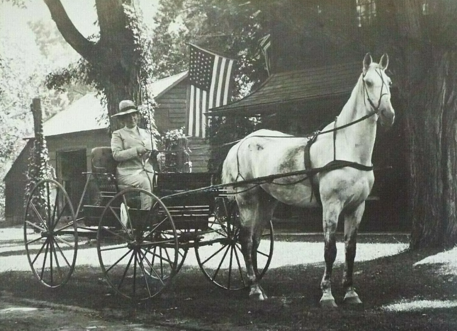 Antique Photo of a Horse, Carriage, and 46 Star American Flag