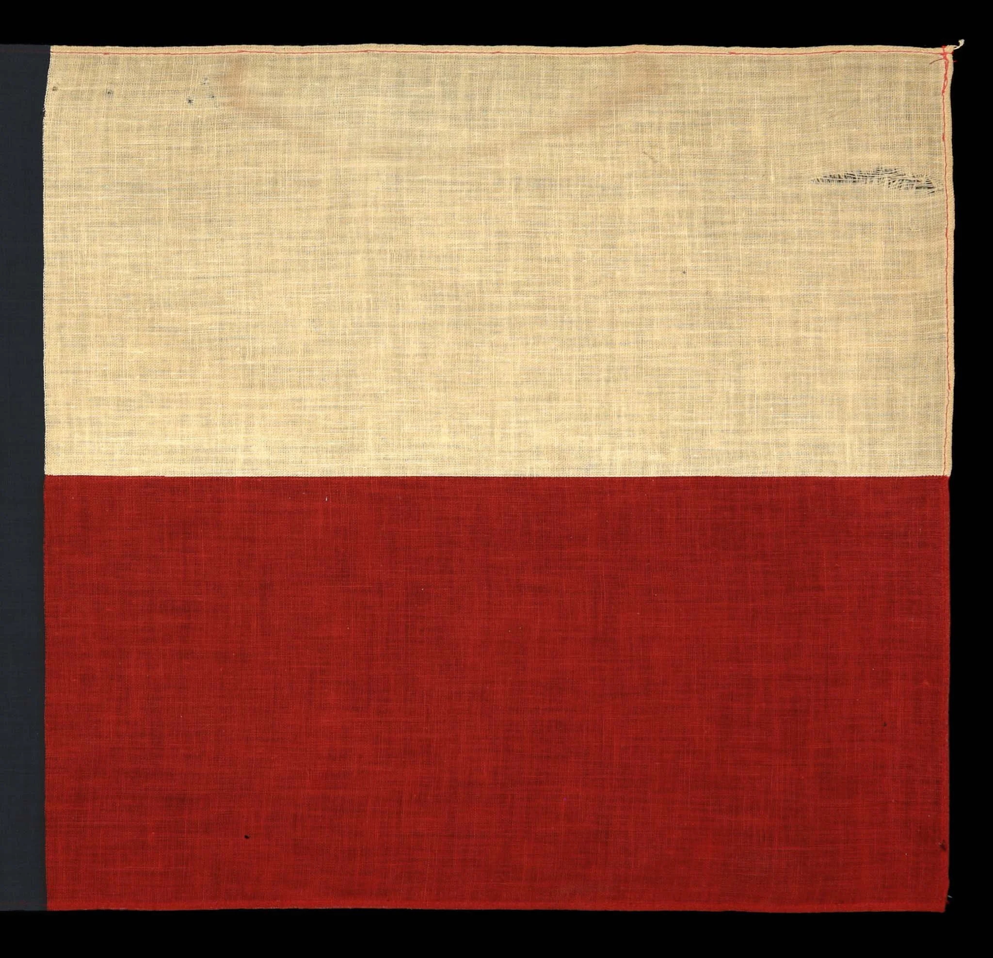 Antique Texas Parade Flag-4.jpg