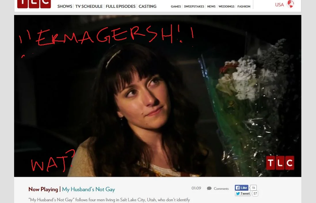 My Blind Date's Not Gay -- Me and the TLC Special