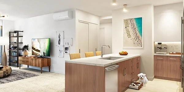 _0005_Azure_Interior_Kitchen-Dog-Bowl.jpg