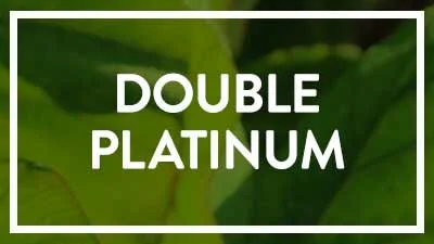 Double Platinum Sponsors