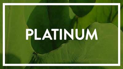 Platinum Sponsors