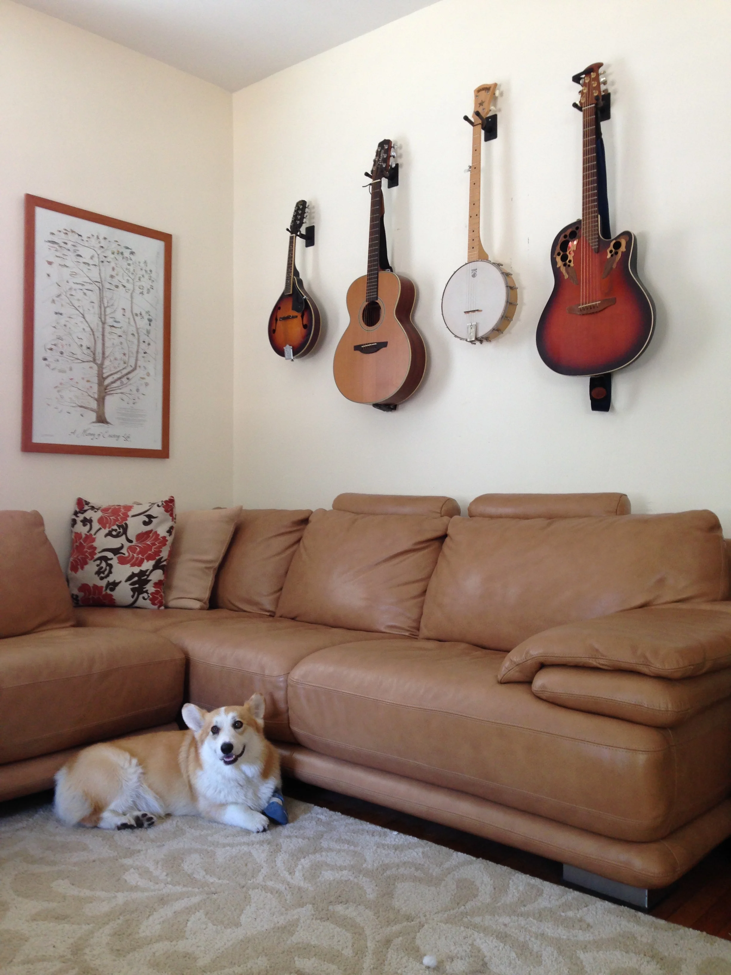 Professionally mounted instruments