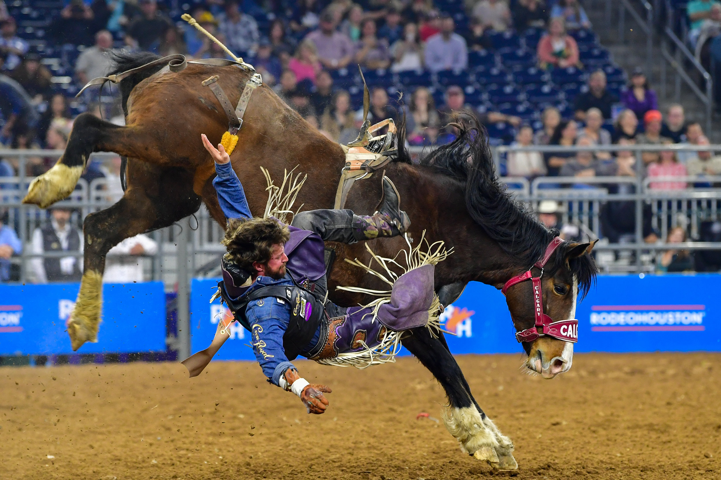 Rodeo Houston