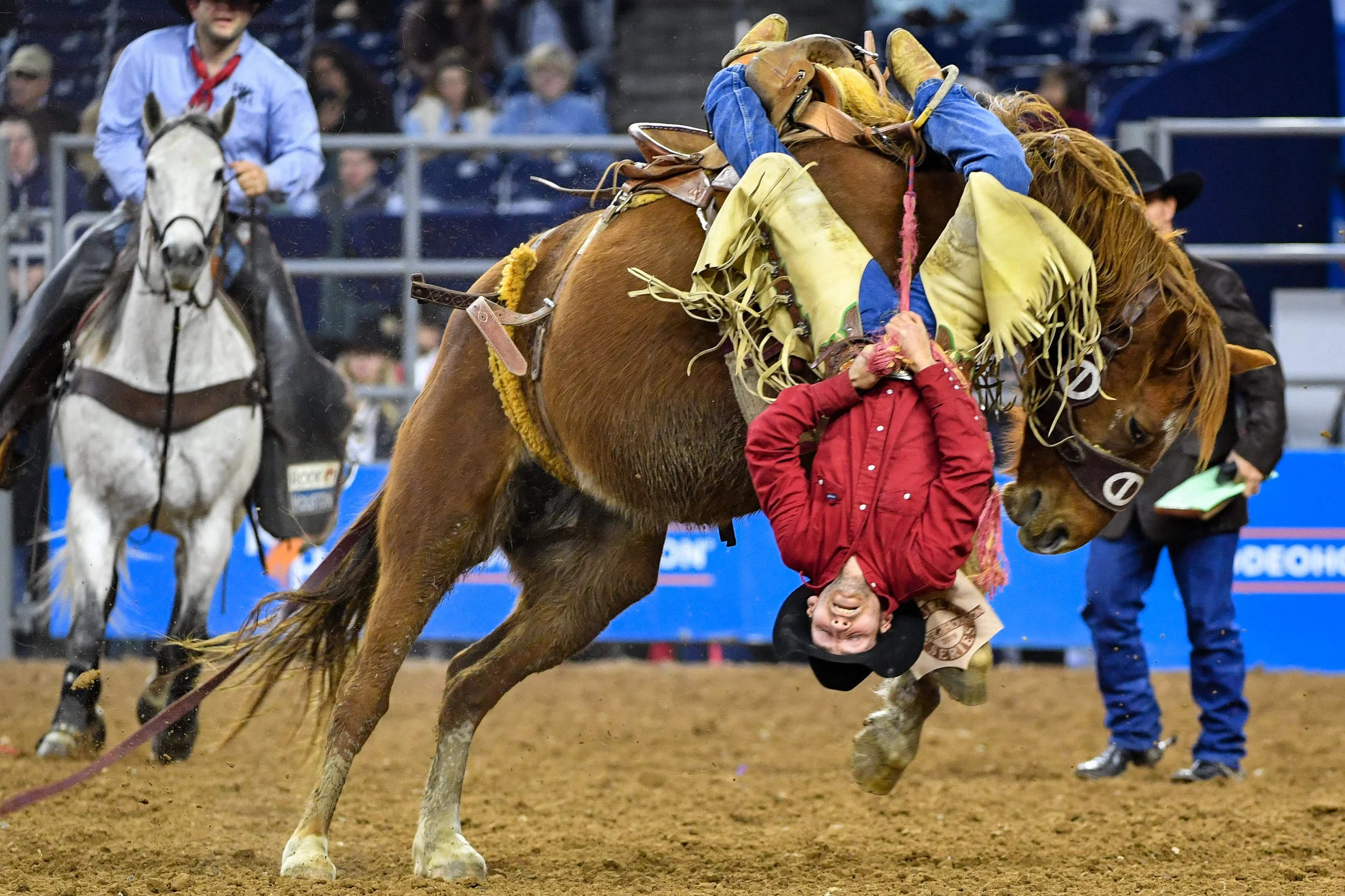 Rodeo Houston