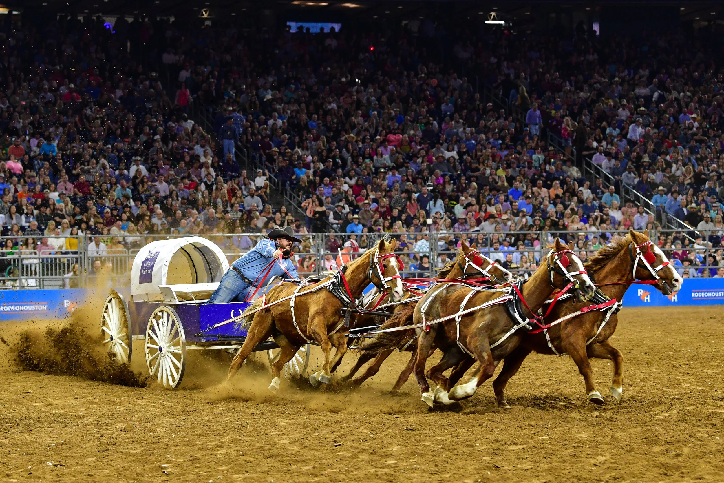 Rodeo Houston
