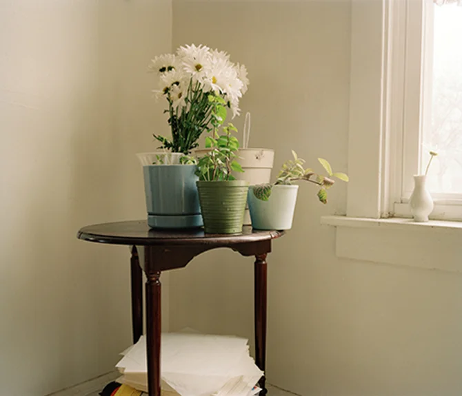 Spring, 2009