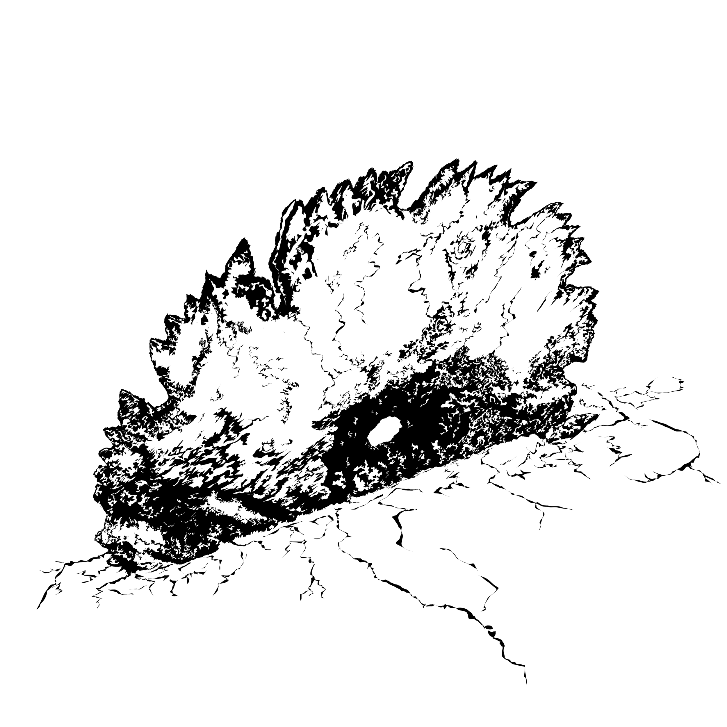 Attachment-1_3.png