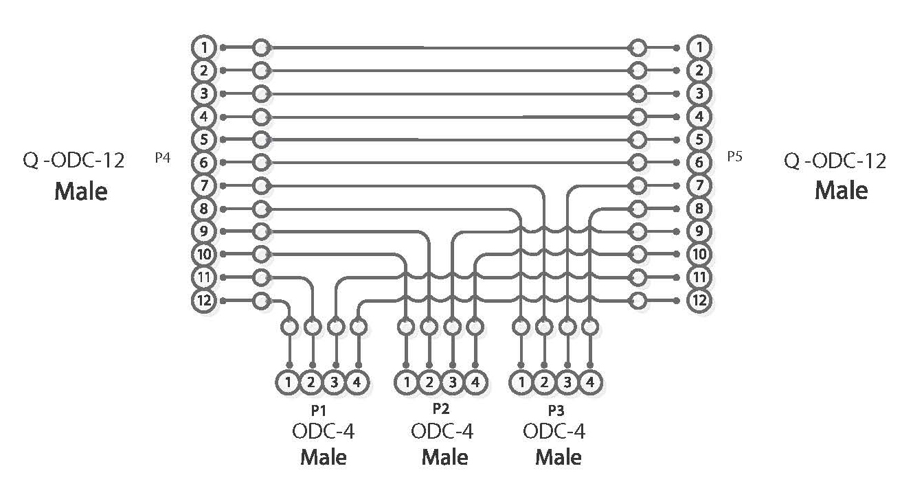 rd for web.jpg