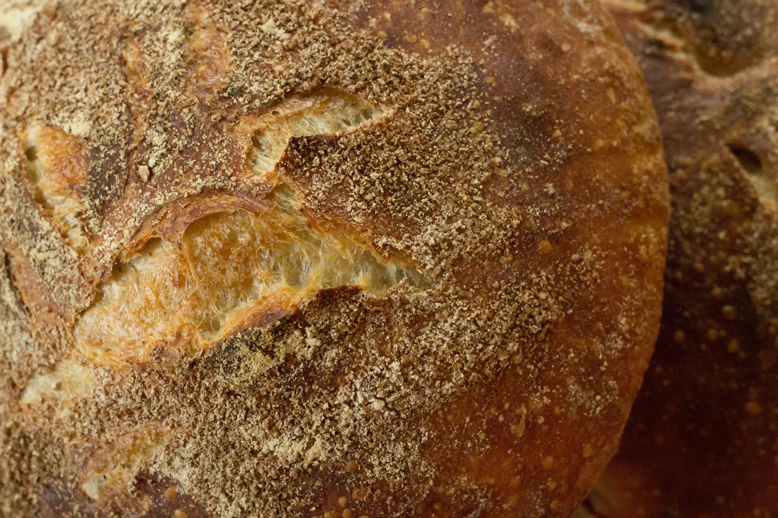 sourdough.