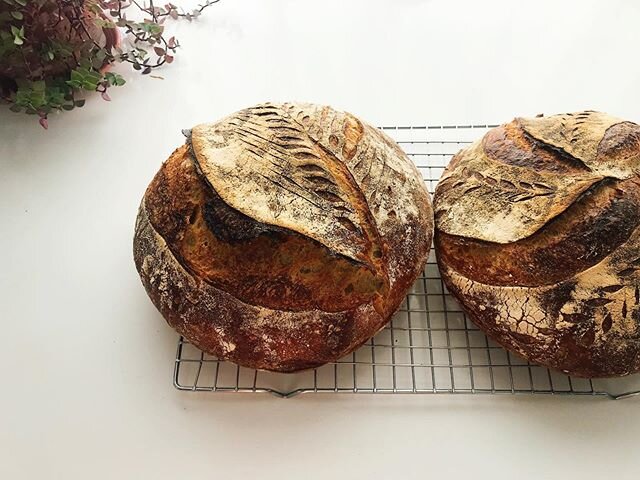 Sunday bake. #bake #sourdough #bread #wildyeast #progluten #breadscoring #weekending