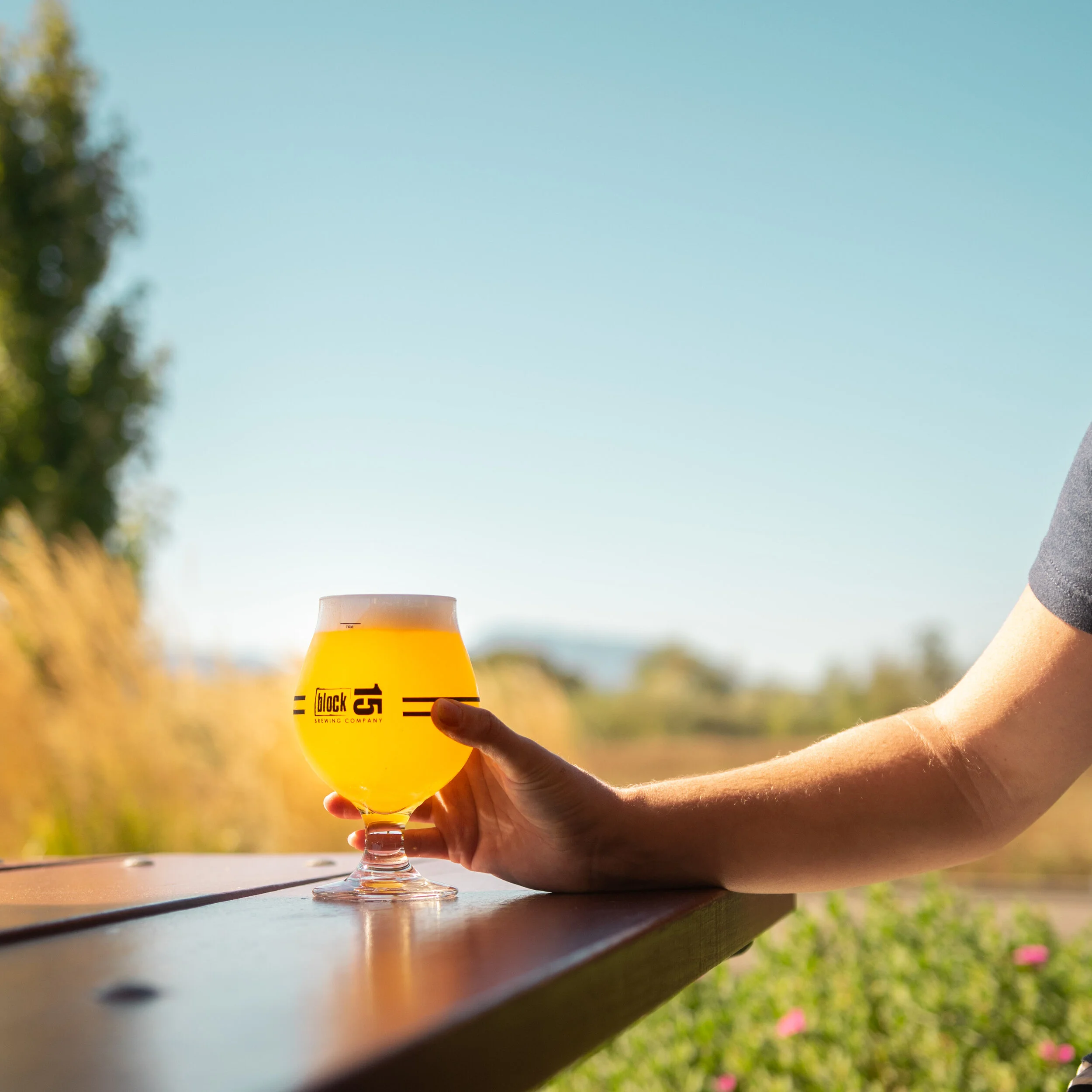 Brewery & Tap Room — Block 15 Brewing