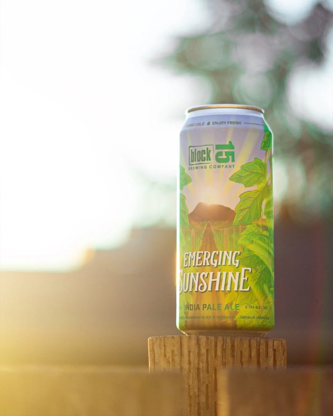 Emerging Sunshine is BACK both in the sky above and in cans at #Block15!

Releasing next Saturday on draft and in 16oz cans, Emerging Sunshine is a crisp and refreshing IPA that is bursting with citrus, mango and floral hop notes and was inspired by 