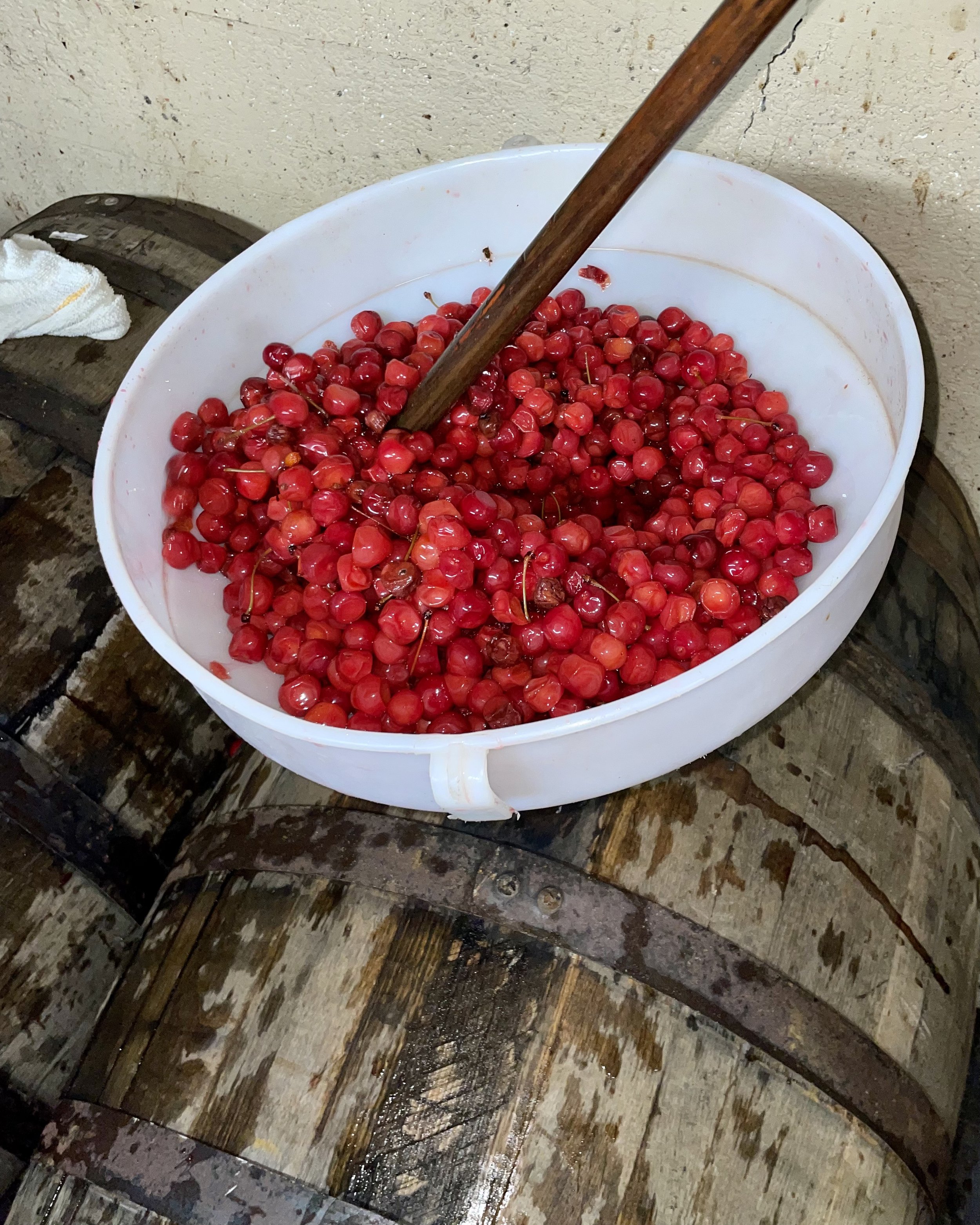 Internal Brewsletter - August 10, 2022