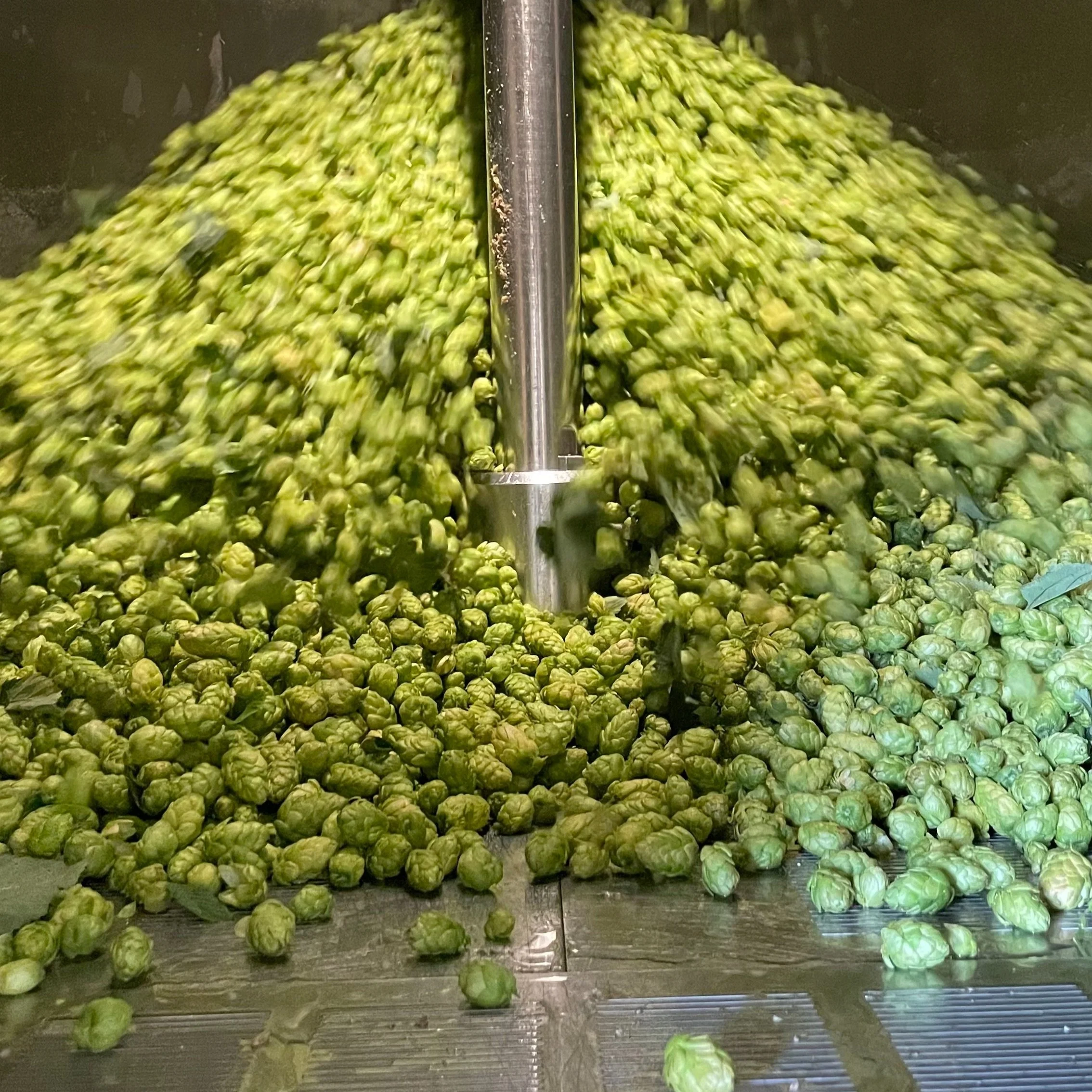 Internal Brewsletter - August 31, 2022