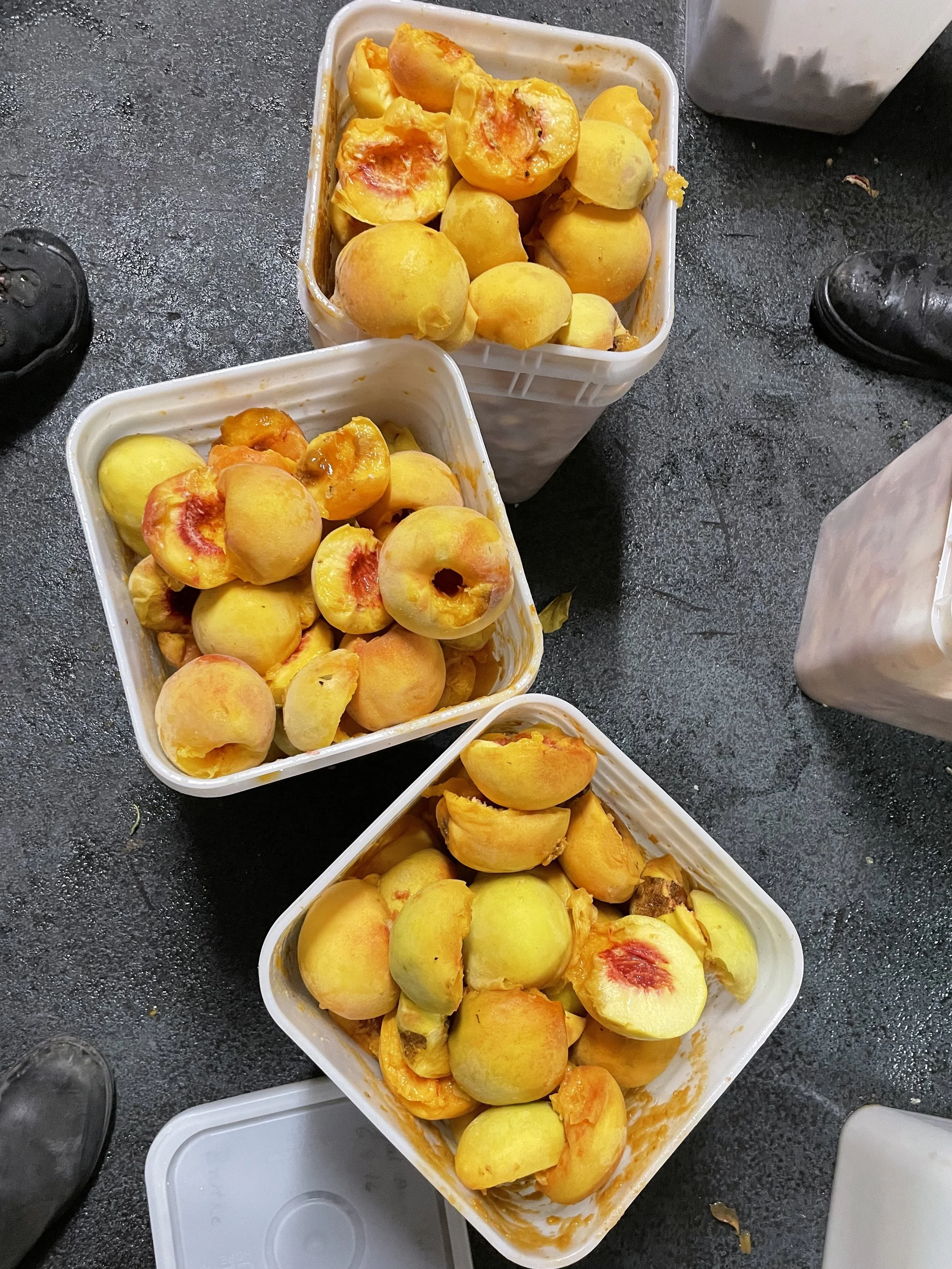 Internal Brewsletter - September 14, 2022