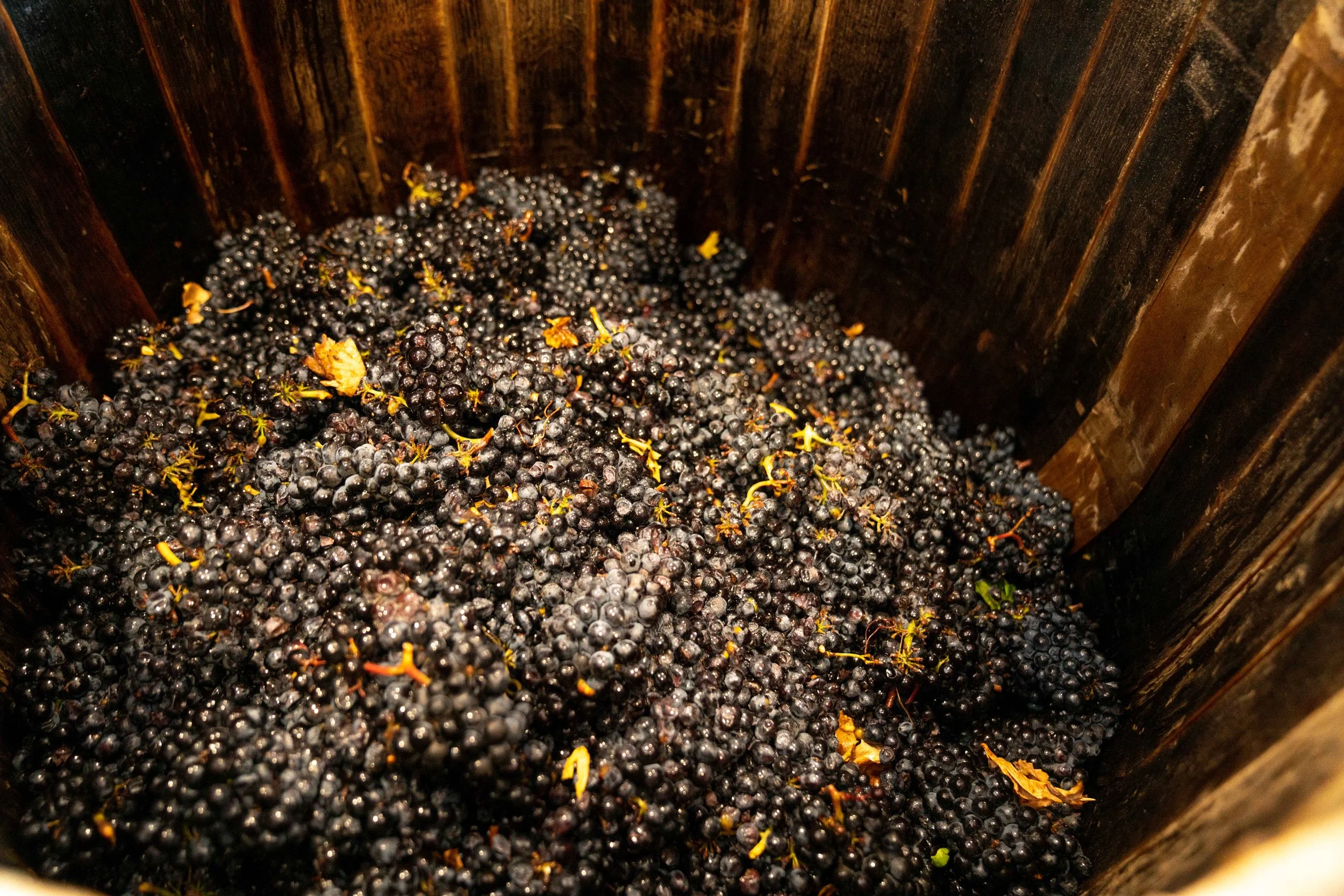 Internal Brewsletter - October 19, 2022