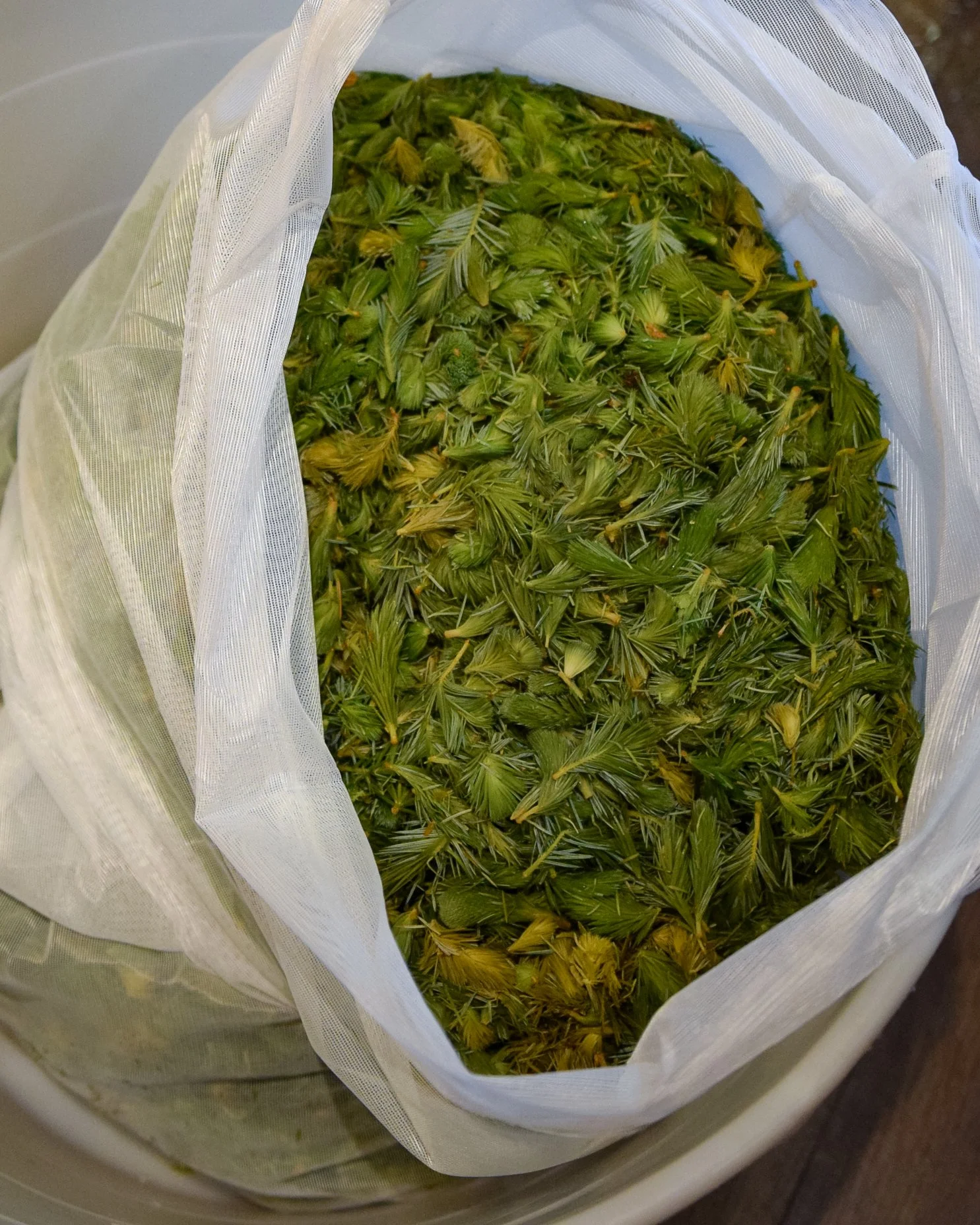 Internal Brewsletter - December 14, 2022