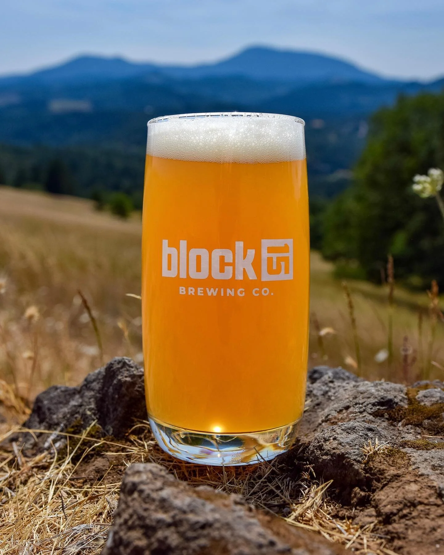 This last winter, we worked with @jordanwdesigns to refresh our brand, taking original elements of our brand and bringing a fresh look to modernize them. With our logo, we freshened up our labels designs, built a branding system and brought in elemen