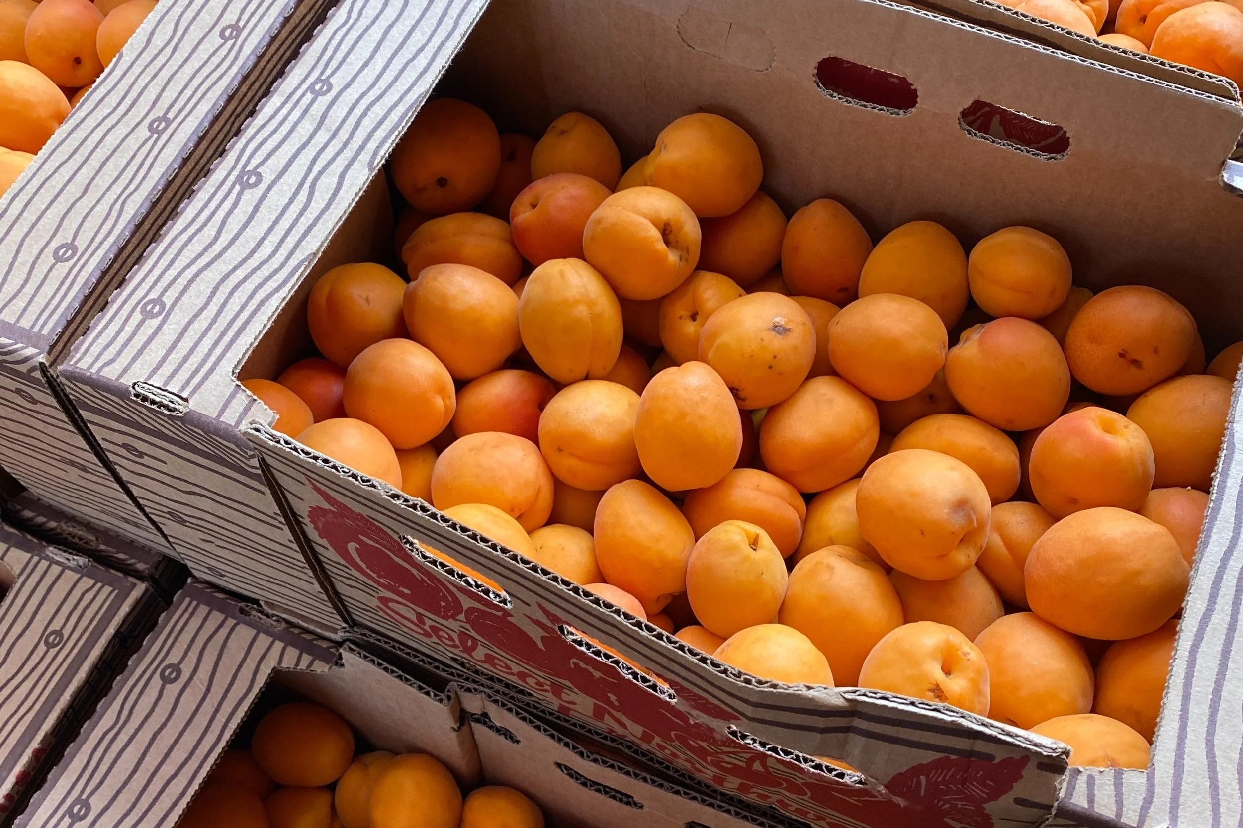 Internal Brewsletter - August 9th, 2023