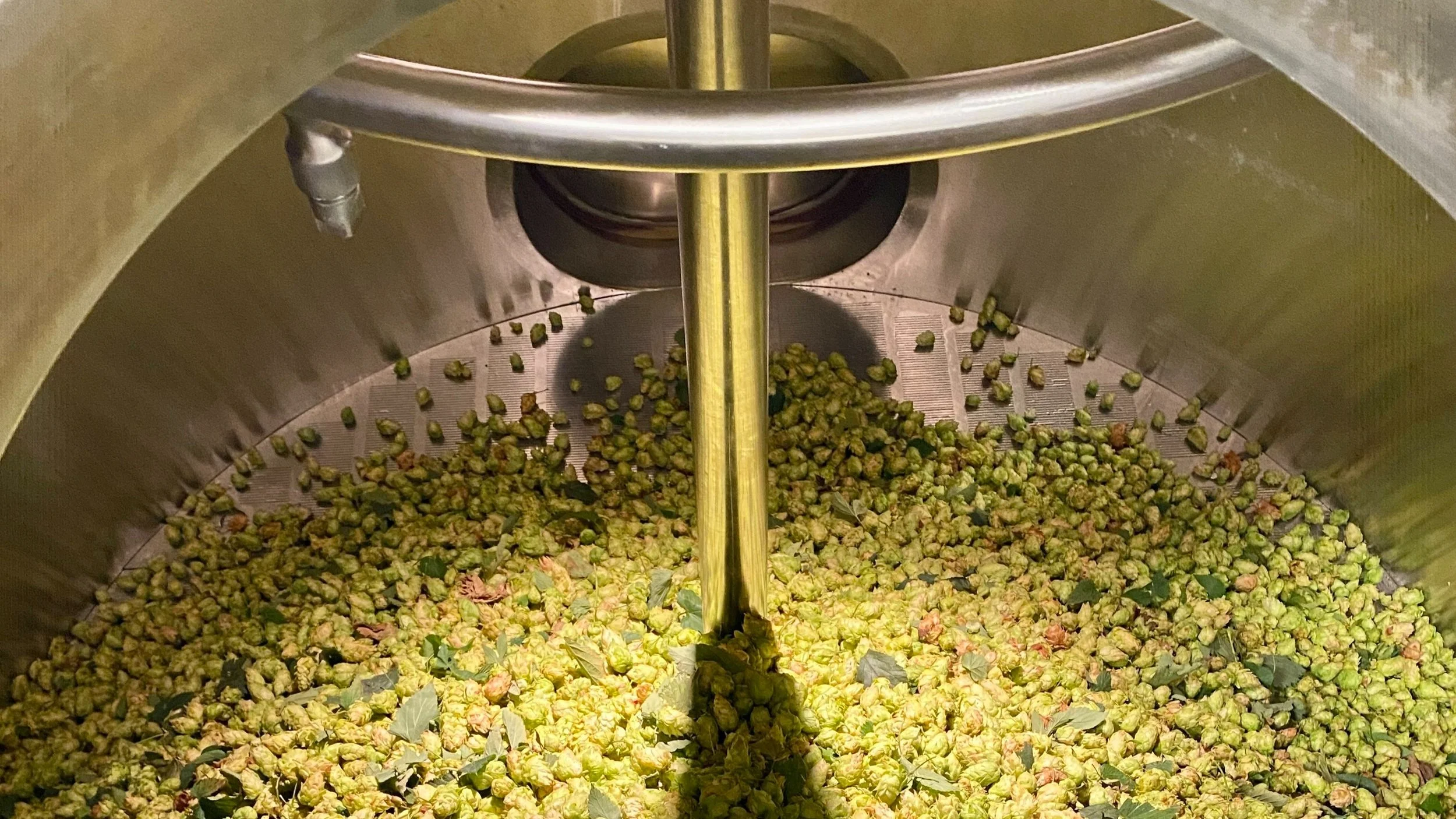 Internal Brewsletter - September 13th, 2023