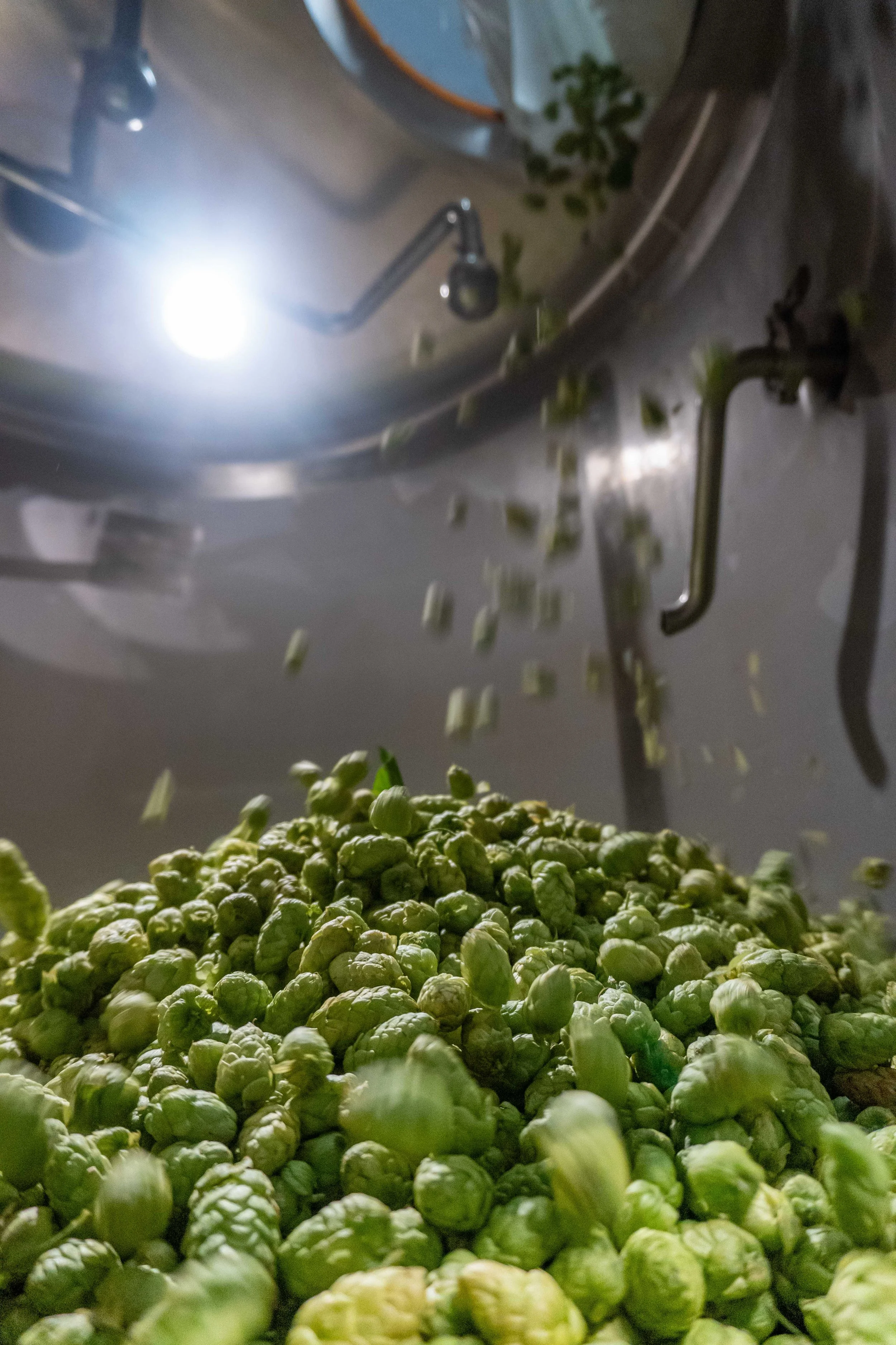 block-15-fresh-hops-kettle-01.jpg
