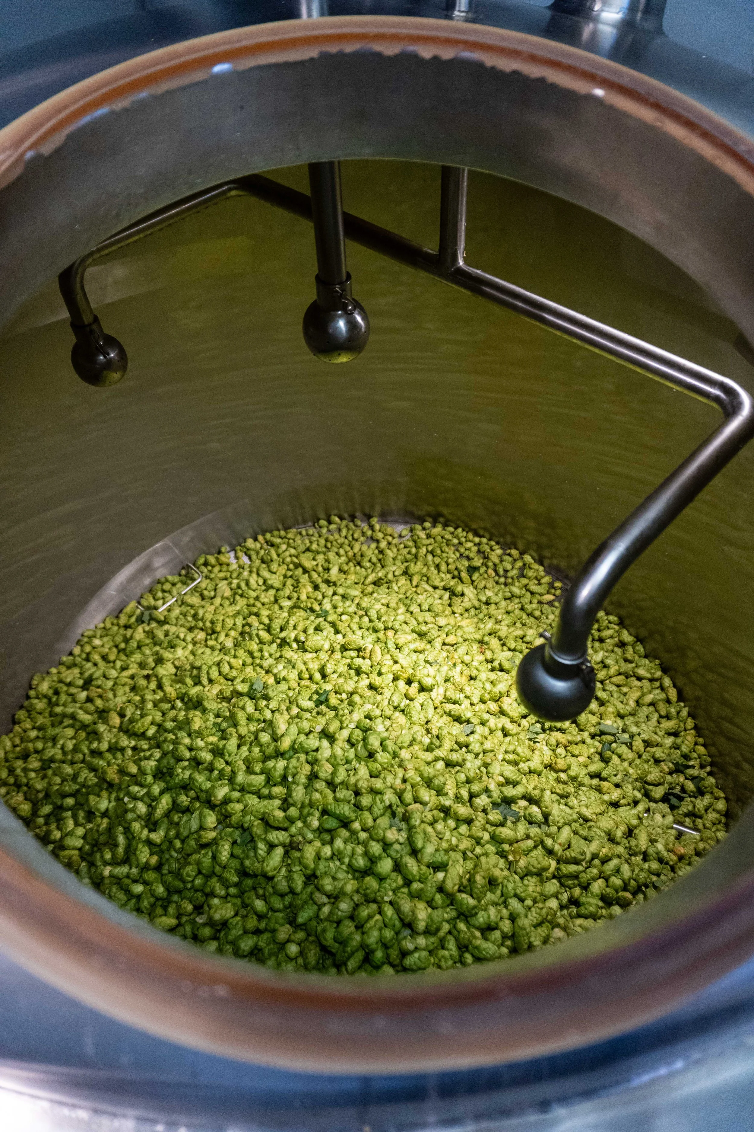 block-15-fresh-hops-kettle-02.jpg