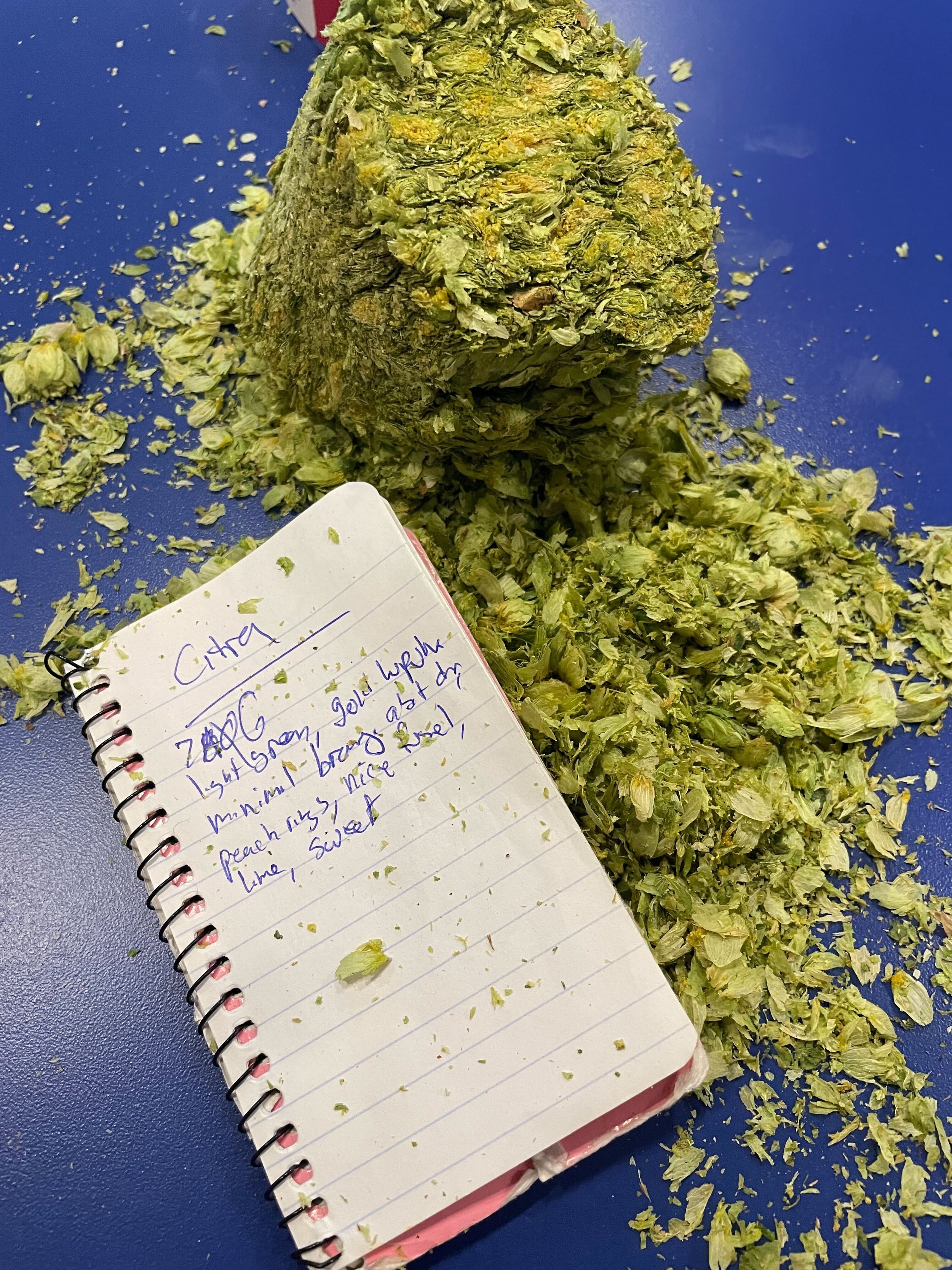 Internal Brewsletter - March 8, 2023