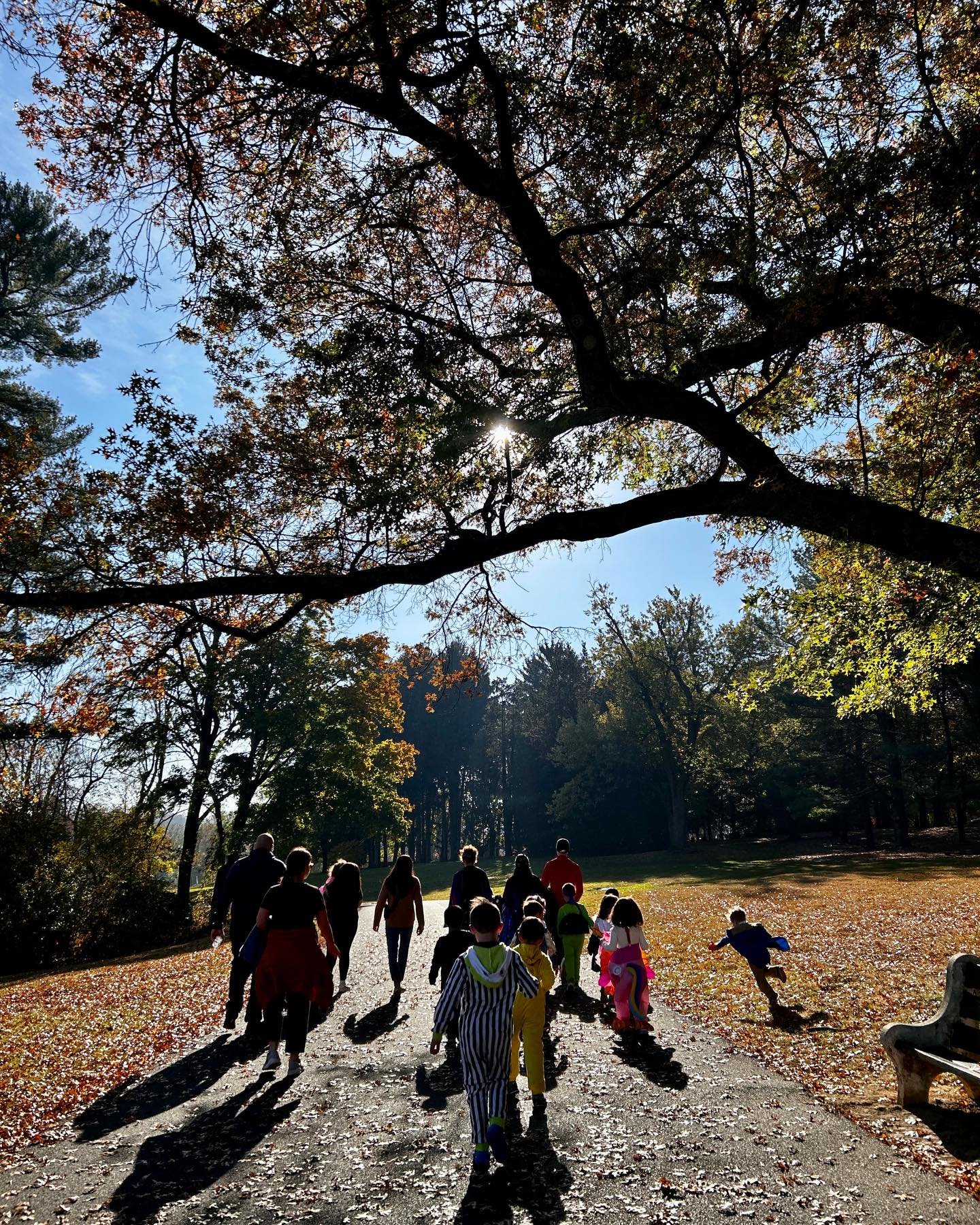 🎃 Wishing everyone a fun Halloween 🎃 from #datzykmontessorischool - a #montessori school in the #lehighvalley