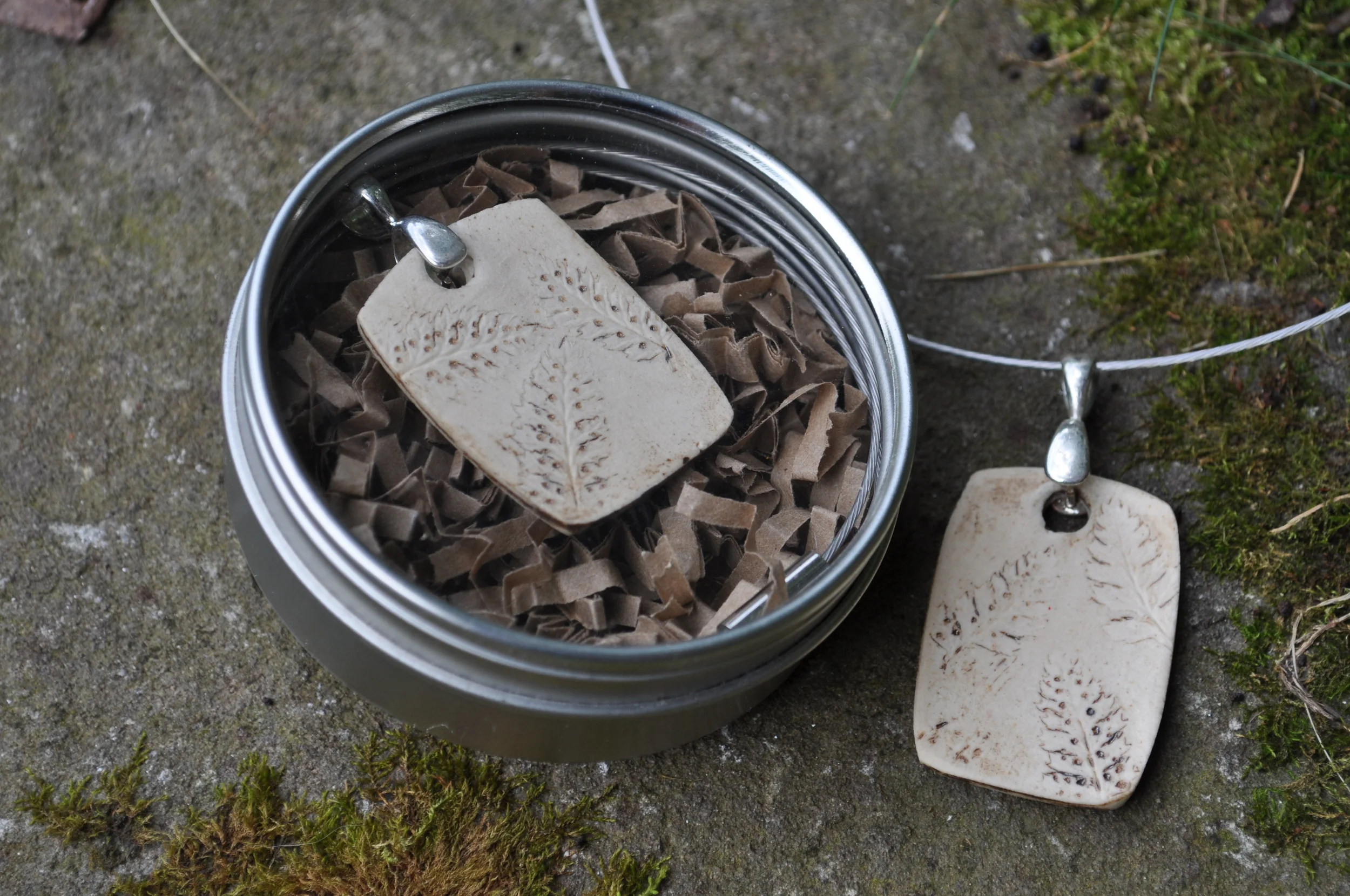 multi fern tin 2.JPG