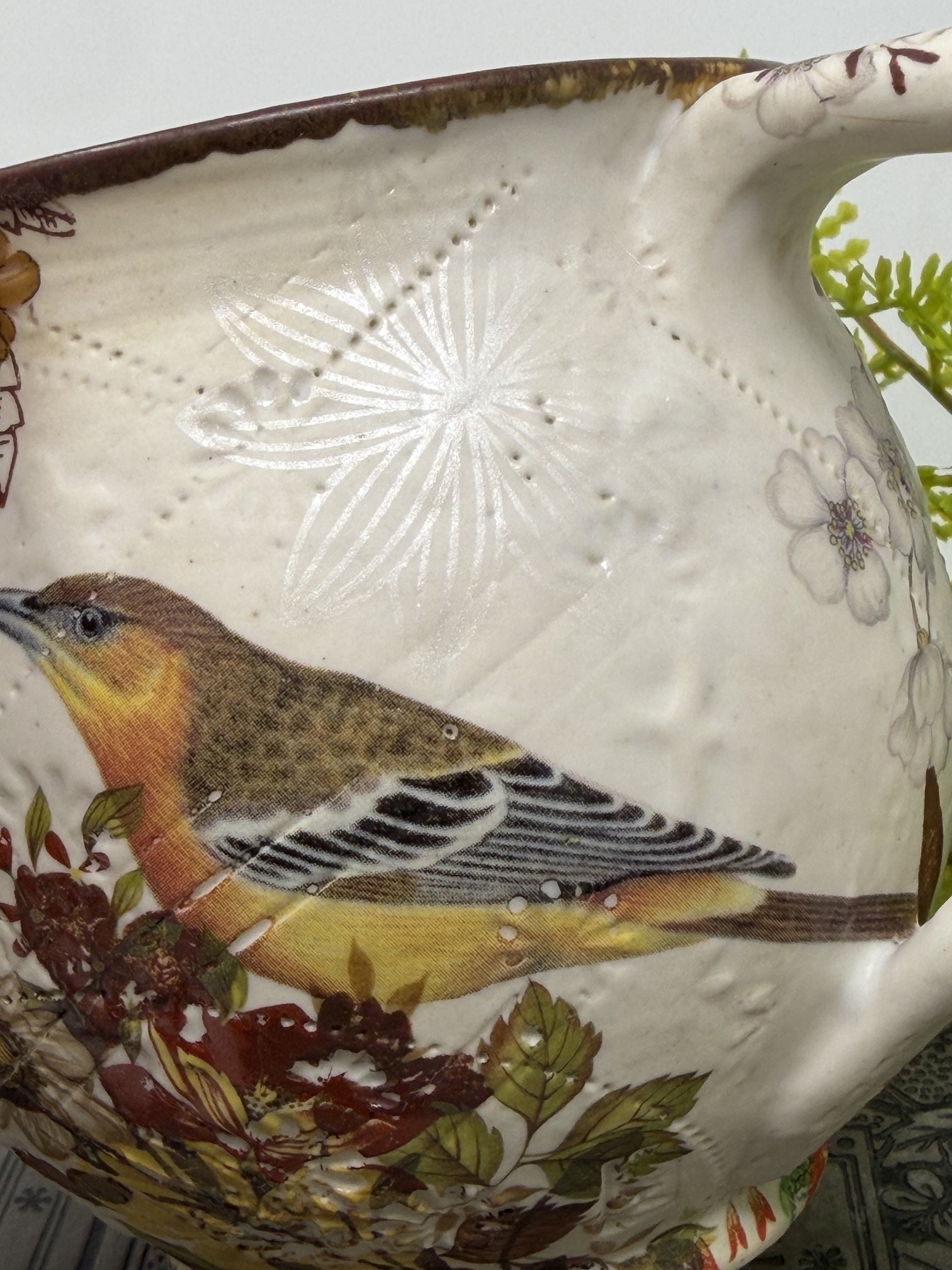 IMG_9241.jpeg