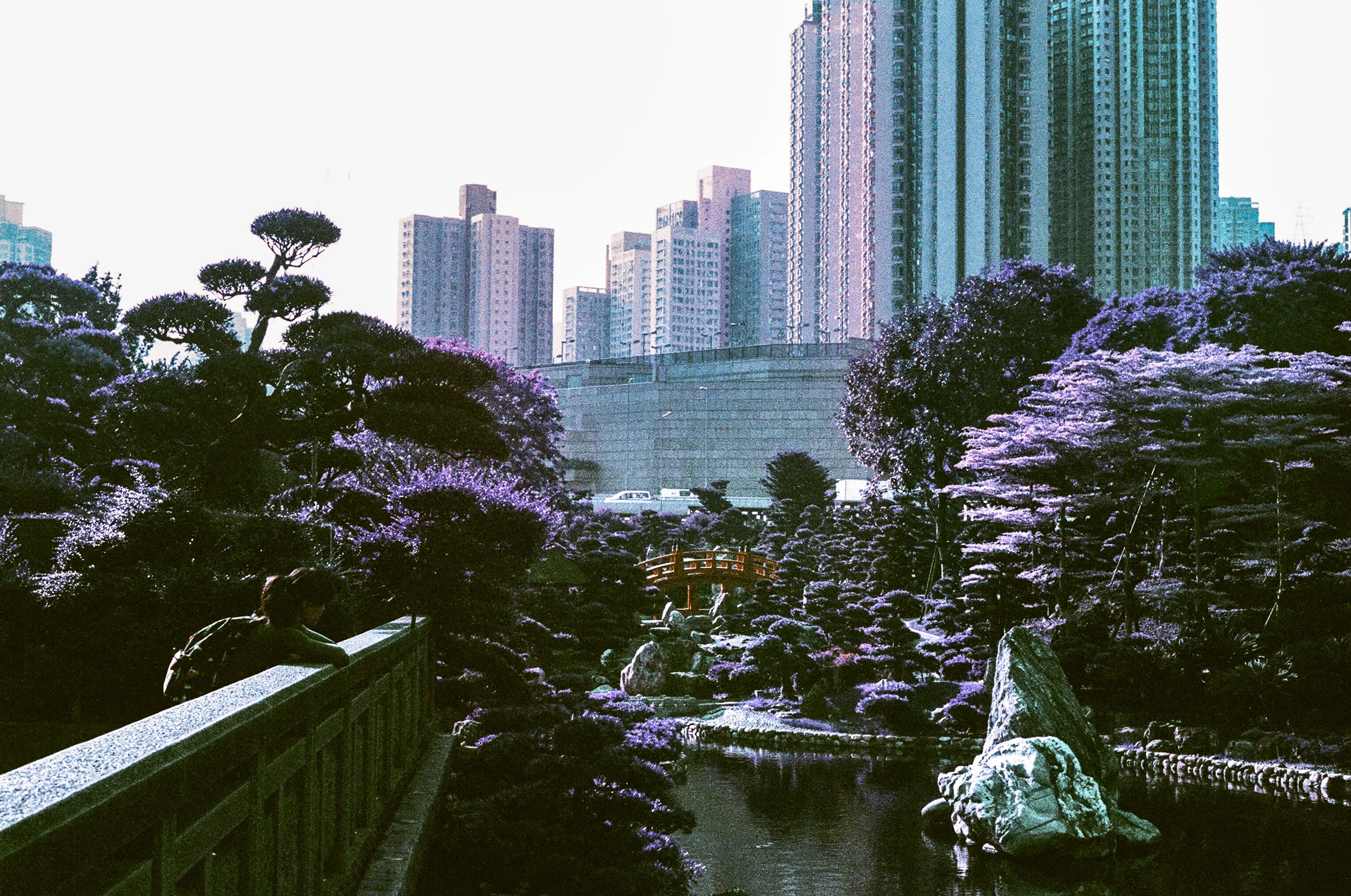 Garden of Words
