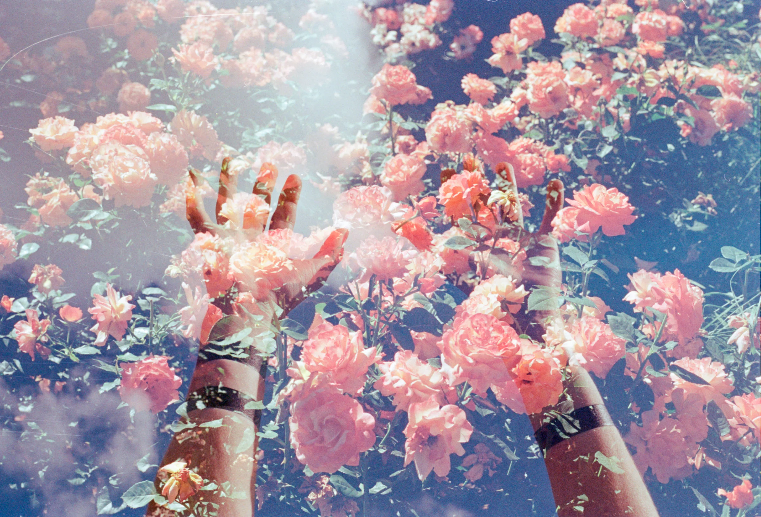  One Last Summer  