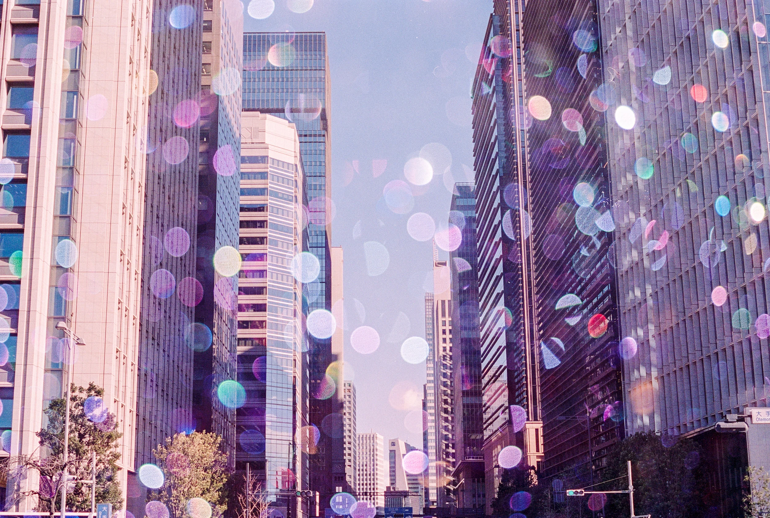 Dream Street